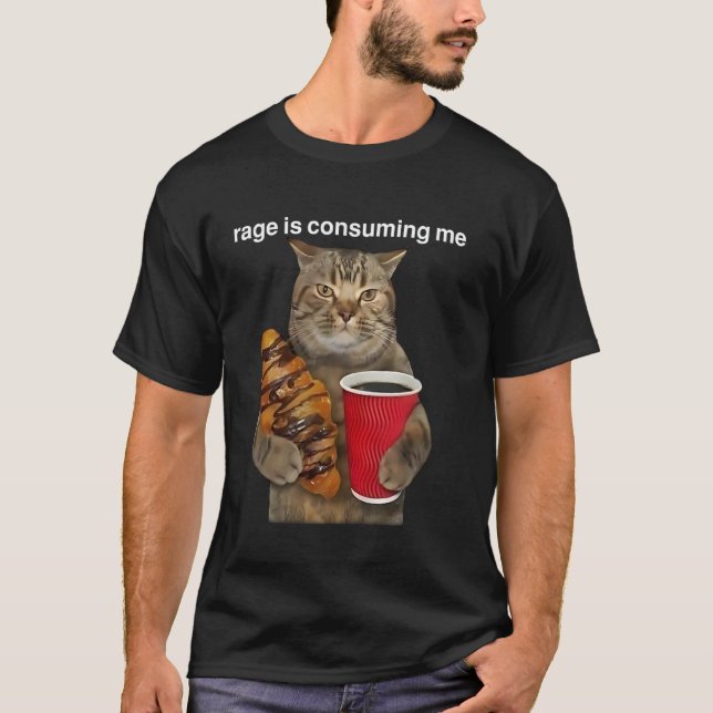 Rage Is Consuming Me Silly Staring Cat Meme T-Shirt (Front)