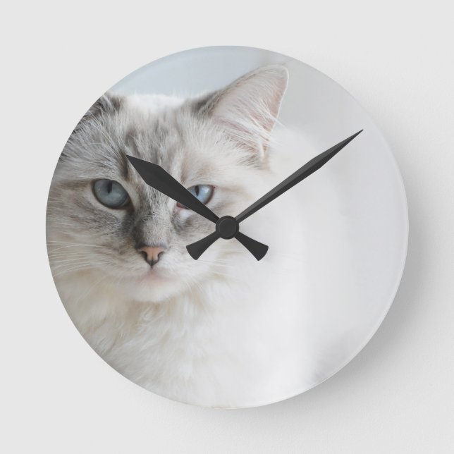 ragoll cat clock (Front)