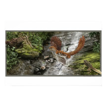 Rahonavis and Beezlebufo Print