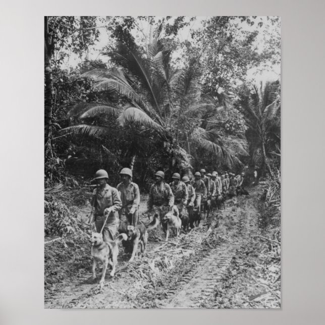 Raiders Poster (Front)