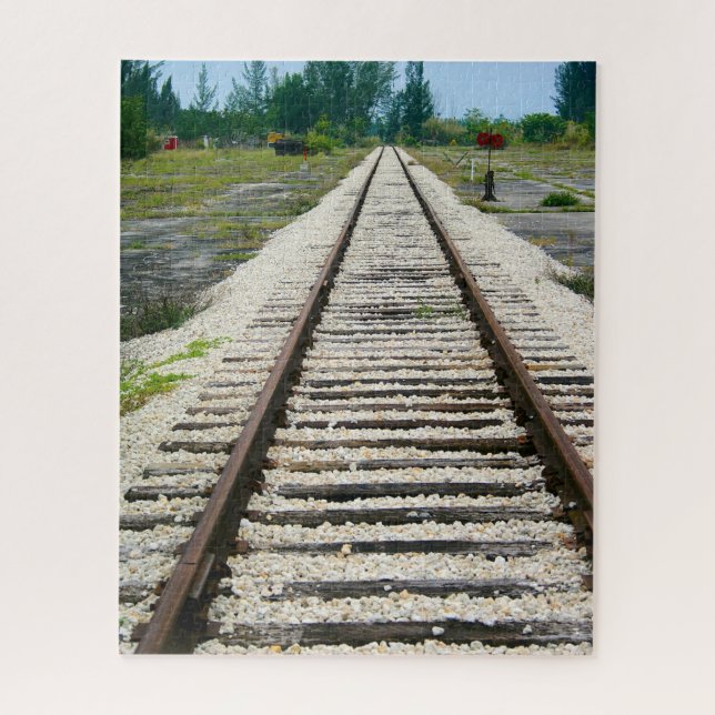 Railroad Track Historic Train Museum Miami Florida Jigsaw Puzzle (Vertical)