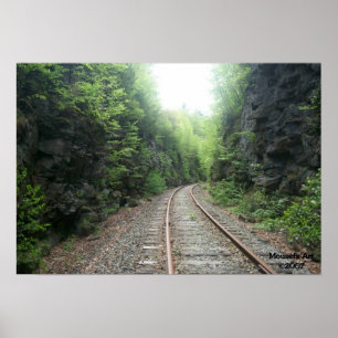 Railroad Tracks Poster