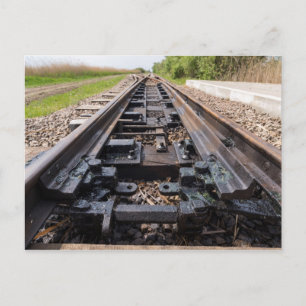 Railway Disappears In The Distance Postcard