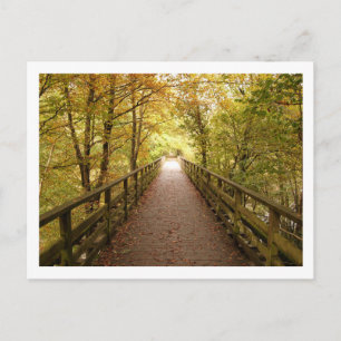 Railway Path: Keswick Postcard