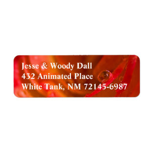 Rain Drop Flaming Rose Address Label Return Address Label