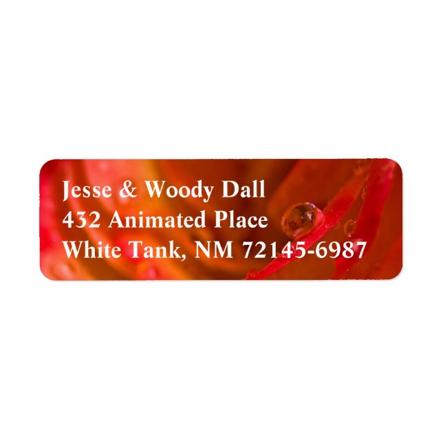 Rain Drop Flaming Rose Address Label Return Address Label (Front)