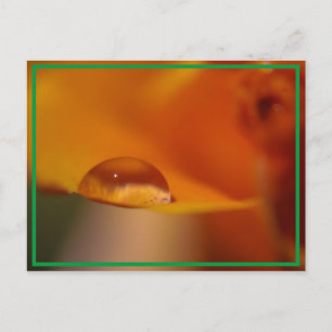 rain drop postcard