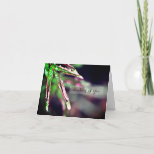 Rain Droplets on Leaf Thinking of You Card