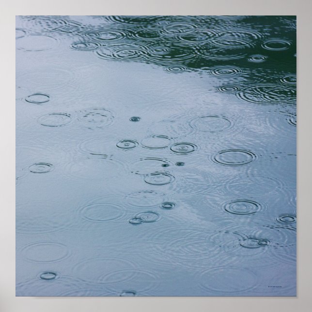 Rain drops and water ripples poster (Front)