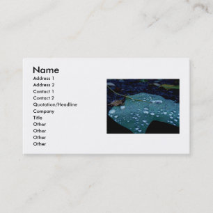 Rain Drops Business Card