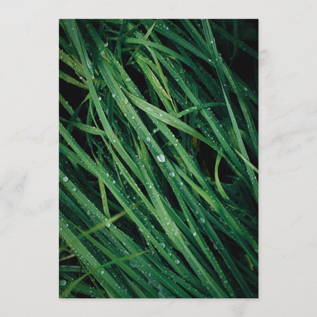 Rain drops on grass, Earth Day Card (Front)