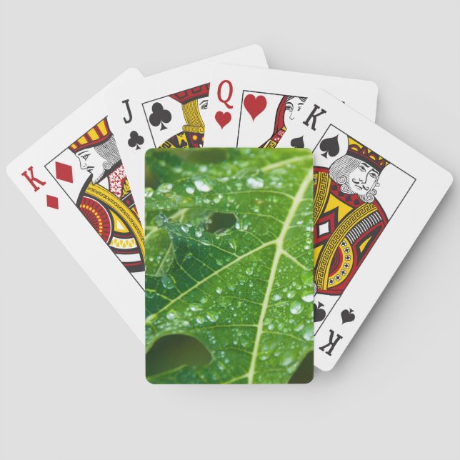 Rain Drops on Green Papaya Leaf Playing Cards (Back)