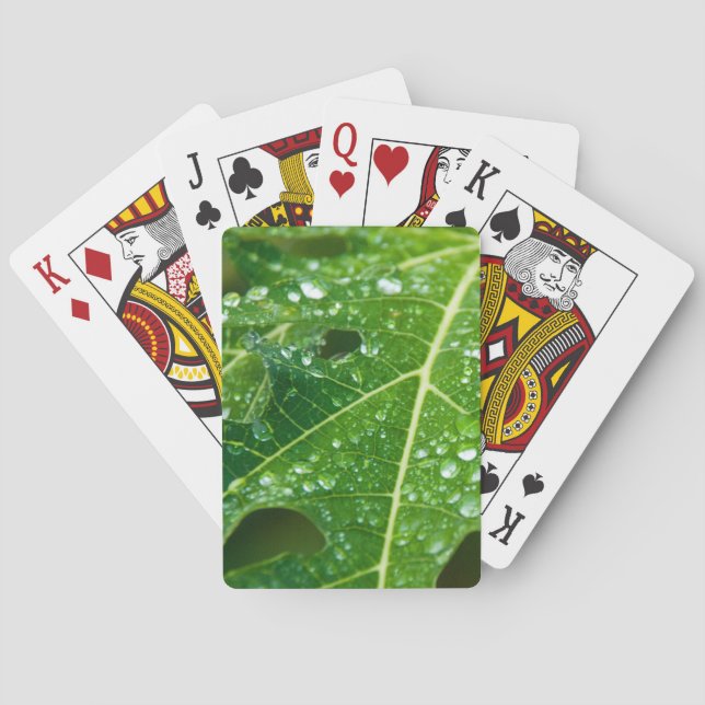 Rain Drops on Green Papaya Leaf Playing Cards (Back)