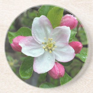Rain drops on little flower coaster