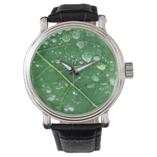 Rain Drops on Papaya Leaf Watch