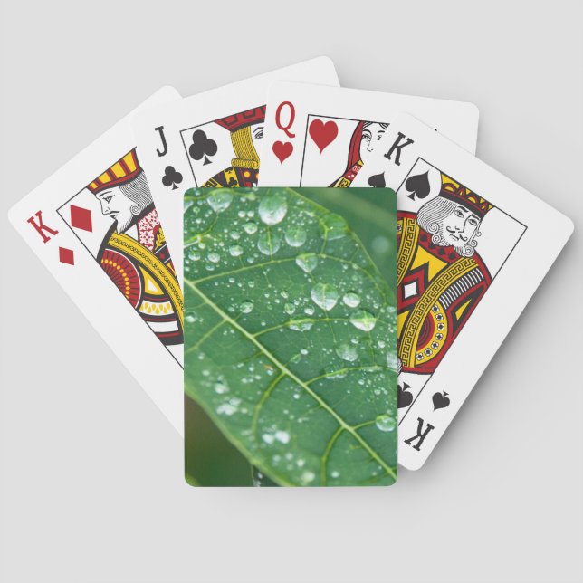 Rain Drops on Tropical Papaya Leaf Playing Cards (Back)