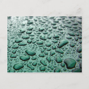 Rain Drops Postcard
