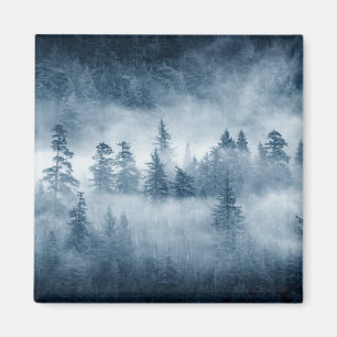 Rain Forest Clouds in the Pacific Northwest Magnet