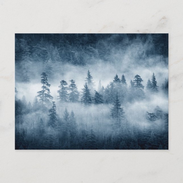 Rain Forest Clouds in the Pacific Northwest Postcard (Front)