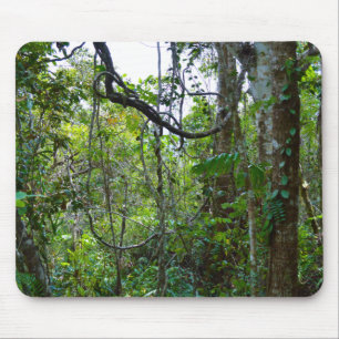 Rain Forest Mouse Pad