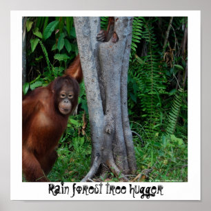Rain Forest  Nature's Tree Hugger Poster