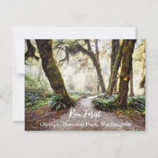 Rain Forest • Olympic National Park, Washington Postcard