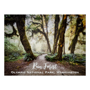 Rain Forest • Olympic National Park, Washington Poster