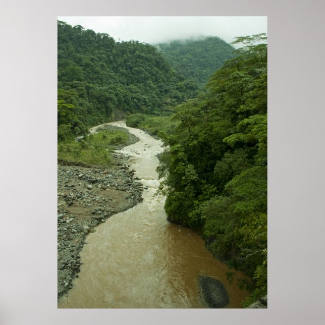 Rain Forest River Poster (Front)