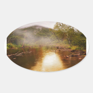 Rain in the Forest Oval Sticker