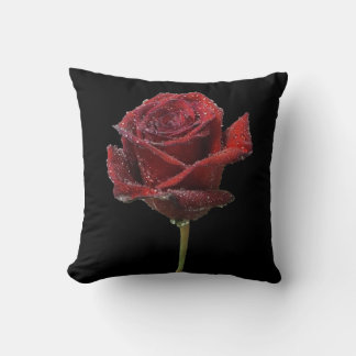 Rain Kissed Rose Cushion