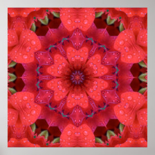 Rain Kissed Scarlet Kaleidoscope Poster