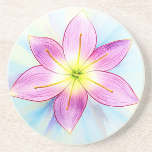 Rain Lily sandstone coaster