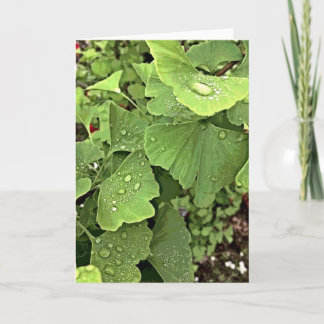 Rain On Gingko Card