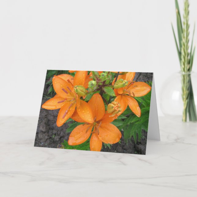 Rain on the Lillies Blank Note Card (Front)