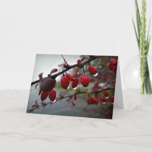 Rain on twig card