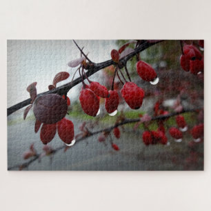 Rain on twig jigsaw puzzle