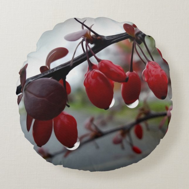 Rain on twig round cushion (Front)