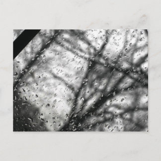 rain postcard