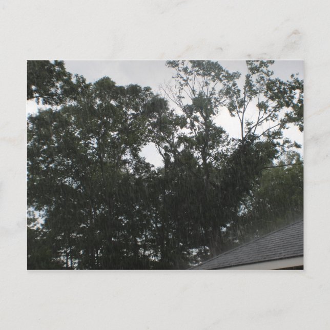 Rain Rain Go Away Postcard (Front)