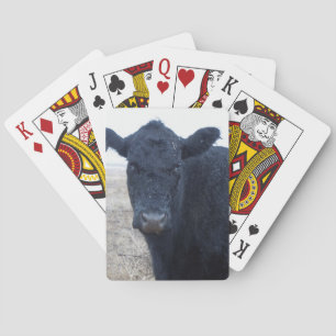 Rain-Soaked Wet Polled Cow Face Cattle Western Playing Cards