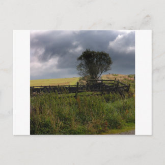 Rain Soon Postcard