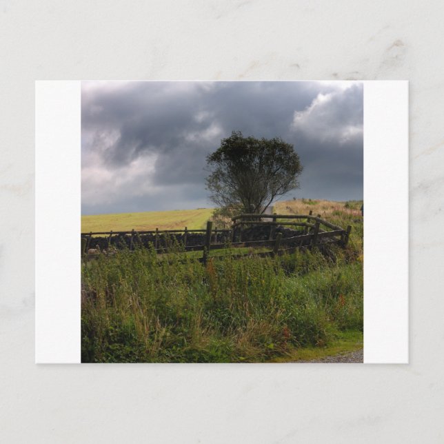 Rain Soon Postcard (Front)