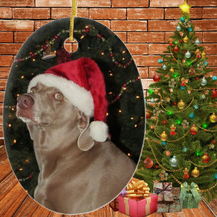 Rain the Weimaraner - a Christmas Ornament