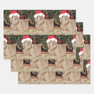 Rain the Weimaraner -  Christmas Wrapping Paper