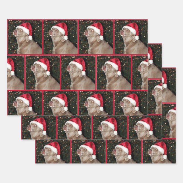 Rain the Weimaraner -  Christmas Wrapping Paper (Set)