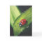 Rain Upon the Mown Grass Card