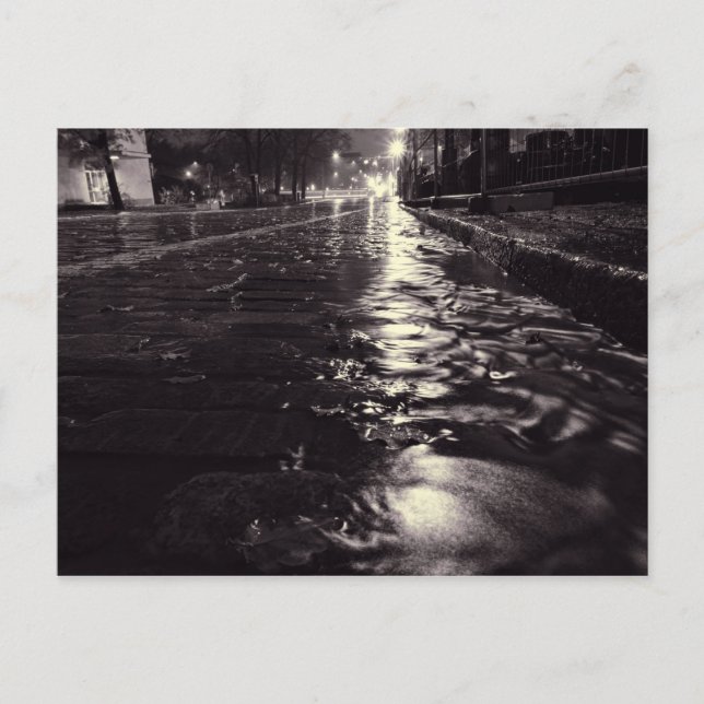 Rain water flowing on a cobblestone street postcard (Front)