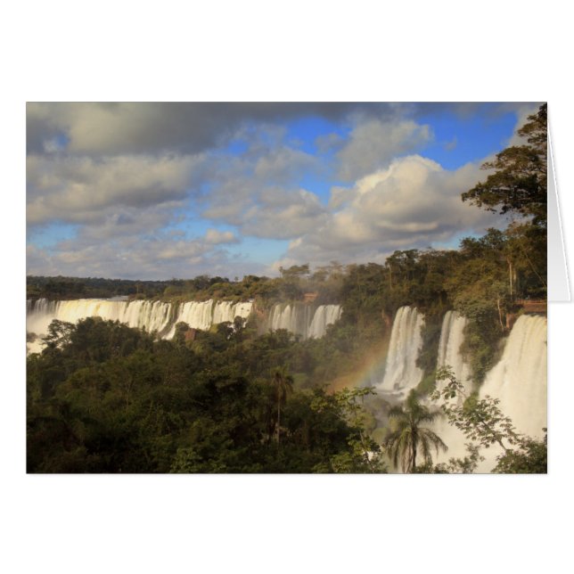 Rainbow (Front Horizontal)