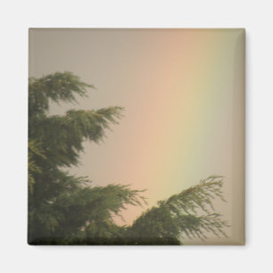 Rainbow and Trees Magnet