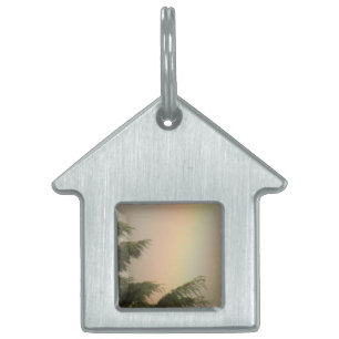 Rainbow and Trees Pet Tag